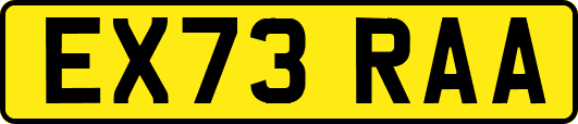 EX73RAA