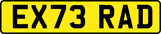 EX73RAD