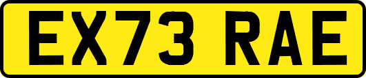 EX73RAE