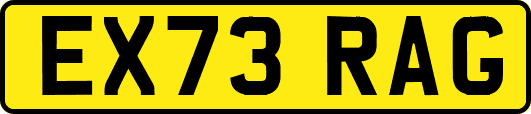 EX73RAG