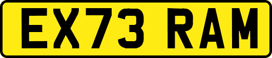 EX73RAM