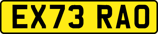 EX73RAO