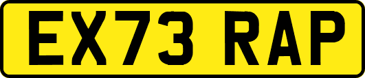 EX73RAP
