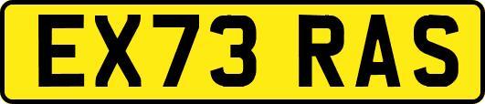 EX73RAS