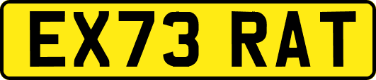 EX73RAT