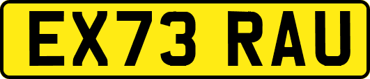EX73RAU