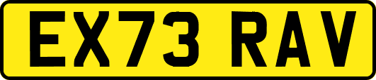 EX73RAV