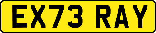 EX73RAY
