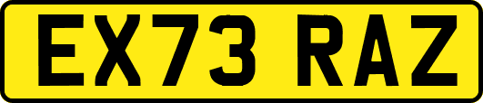 EX73RAZ