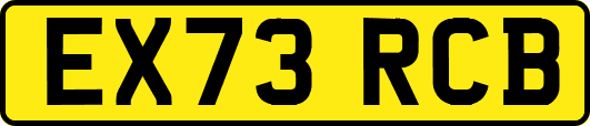 EX73RCB