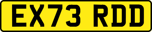 EX73RDD