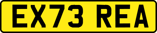 EX73REA