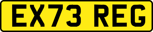 EX73REG