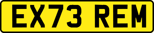 EX73REM
