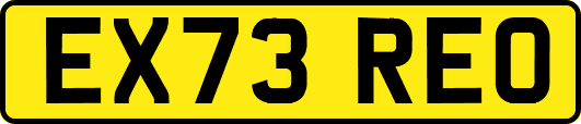 EX73REO