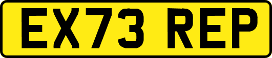 EX73REP