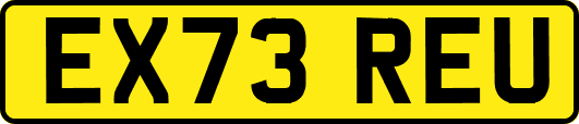 EX73REU