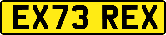 EX73REX