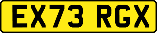 EX73RGX