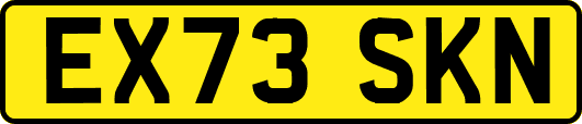 EX73SKN