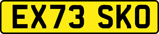 EX73SKO