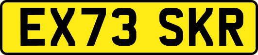 EX73SKR