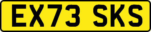EX73SKS