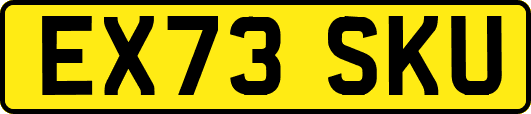 EX73SKU
