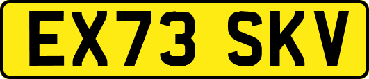 EX73SKV