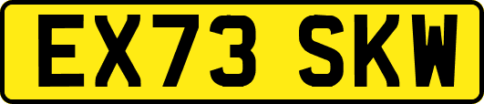 EX73SKW
