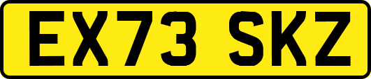 EX73SKZ