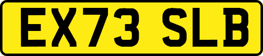 EX73SLB