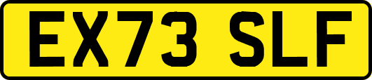 EX73SLF