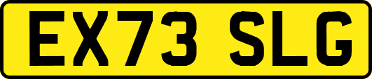 EX73SLG