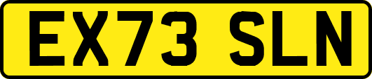 EX73SLN