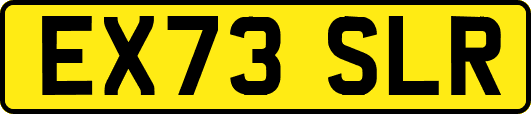 EX73SLR