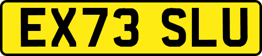 EX73SLU