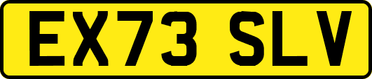 EX73SLV