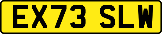 EX73SLW