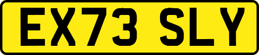 EX73SLY