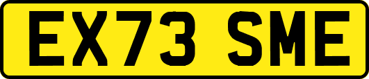 EX73SME