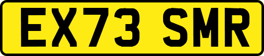 EX73SMR