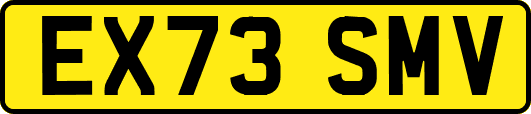 EX73SMV