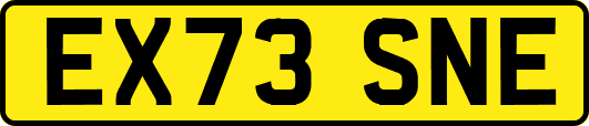 EX73SNE