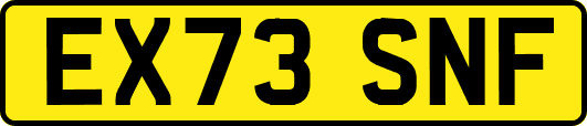 EX73SNF