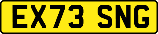 EX73SNG