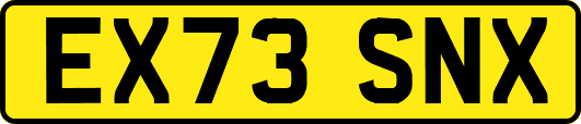 EX73SNX