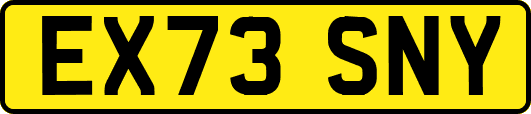 EX73SNY