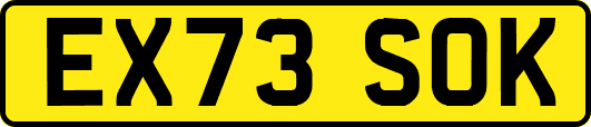 EX73SOK
