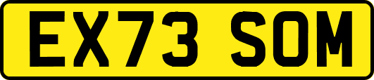 EX73SOM